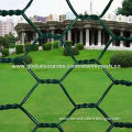 PVC Coated Hexagonal Wire Netting With Low Price